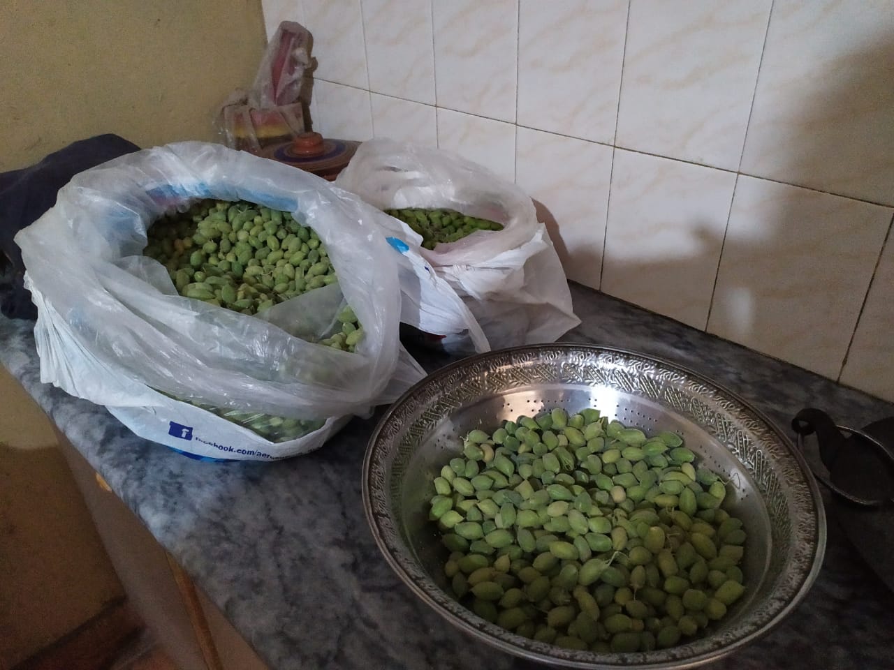 Fresh Green Holay - Haray Channay - Green Chickpeas - Hara Chana - Image 2