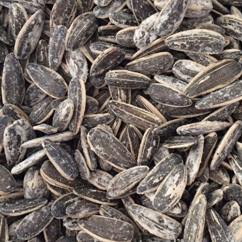 Salted Sunflower Seeds in Shell
