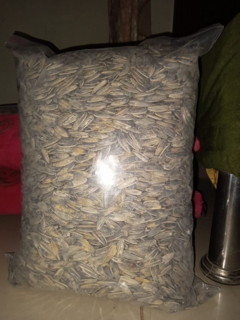 Salted Sunflower Seeds in Shell - Image 3